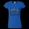 Women's Softstyle® T-Shirt Thumbnail